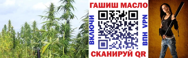 где купить наркотик  Инза  маркетплейс официальный сайт  ТГК концентрат 